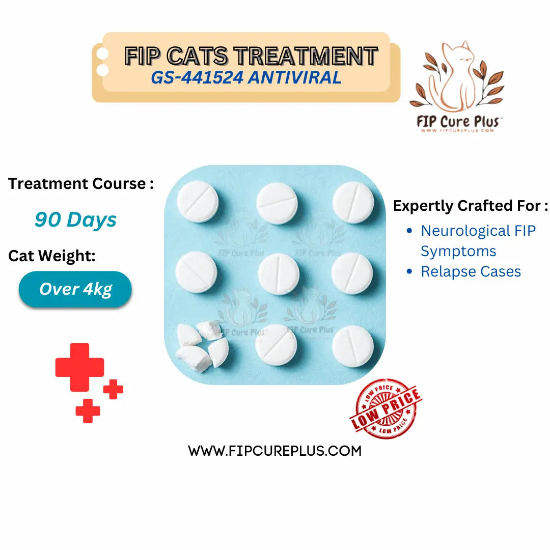 FIP Cure Plus Oral Capsules | GS-441524 Treatment to Cure FIP in Cats Over 4kg