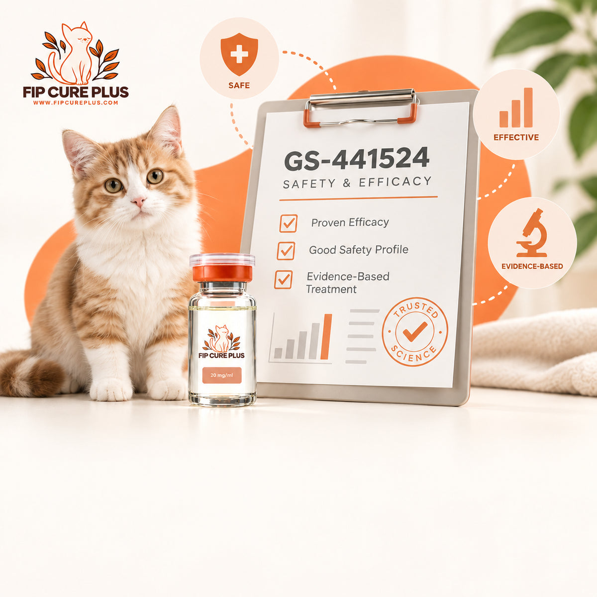 Cat beside an FIP Cure Plus GS-441524 vial and a graphic highlighting safety, efficacy, and clinical evidence.