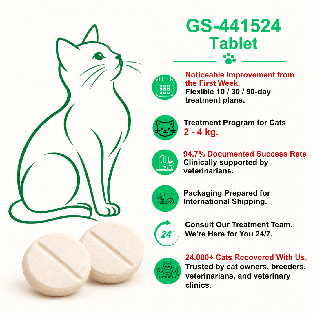 English guide to FIP Cure Plus GS-441524 tablets for cats weighing 2–4 kg, with a green cat illustration and two cream tablets.