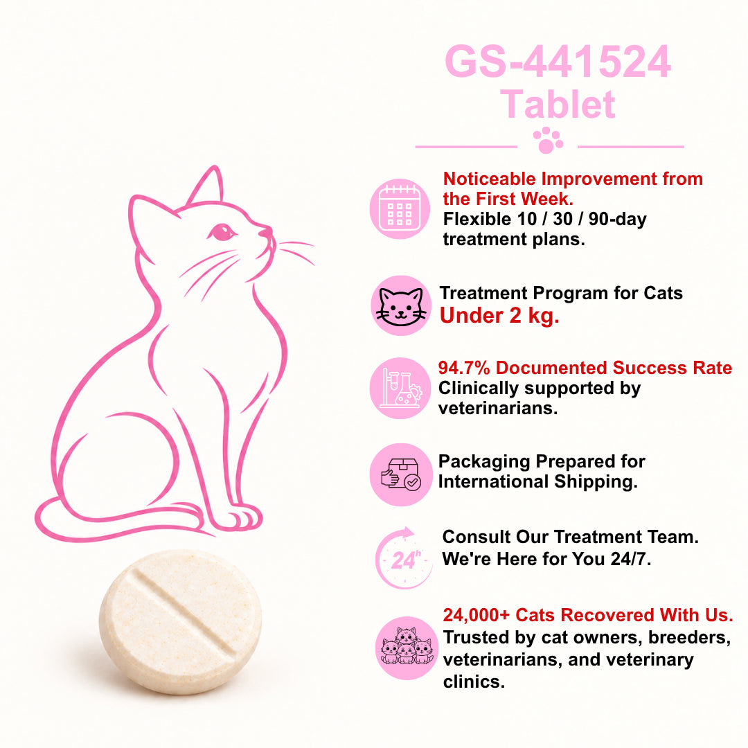 English guide to FIP Cure Plus GS-441524 tablets for cats under 2 kg, with a pink cat illustration and one cream tablet.