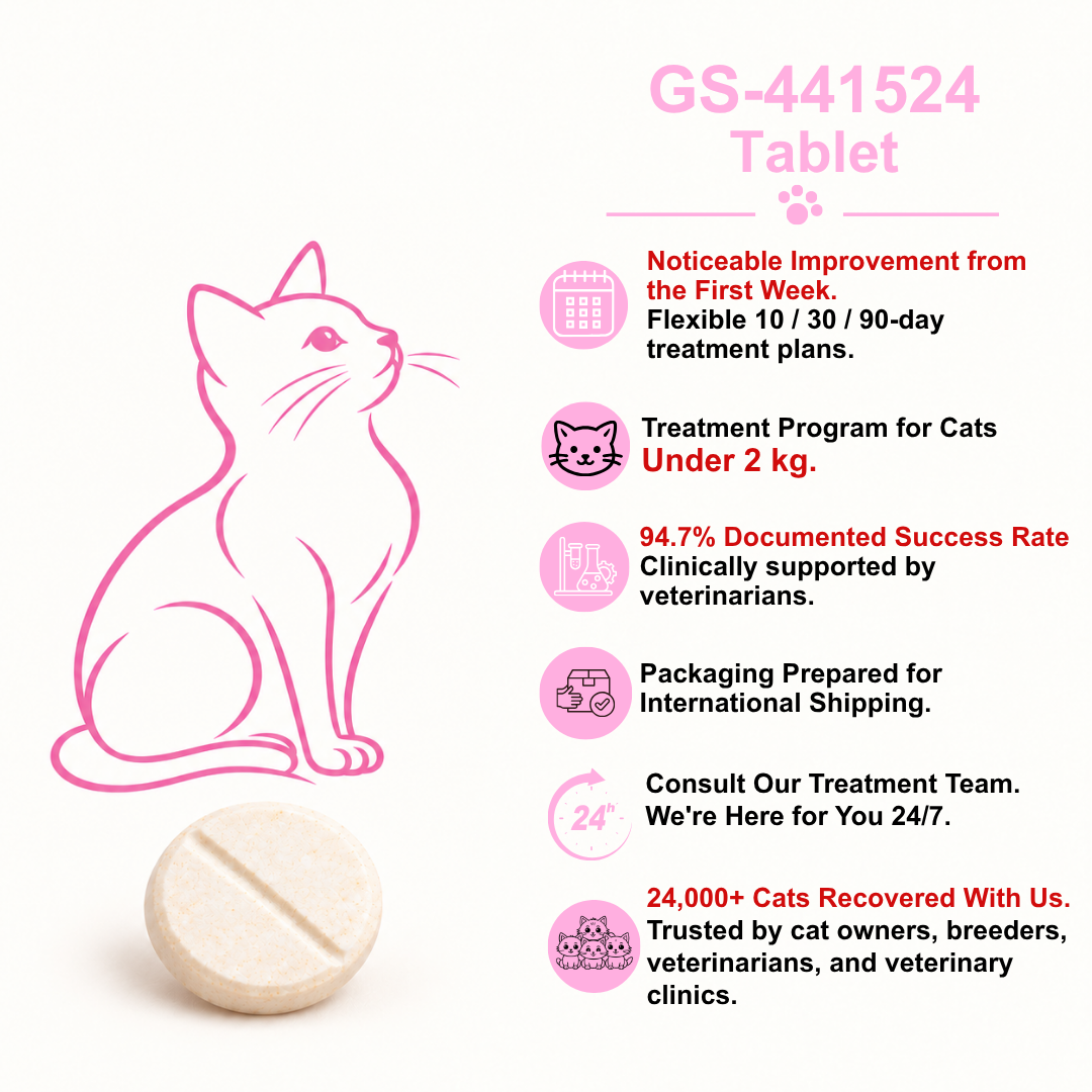 English guide to FIP Cure Plus GS-441524 tablets for cats under 2 kg, with a pink cat illustration and one cream tablet.
