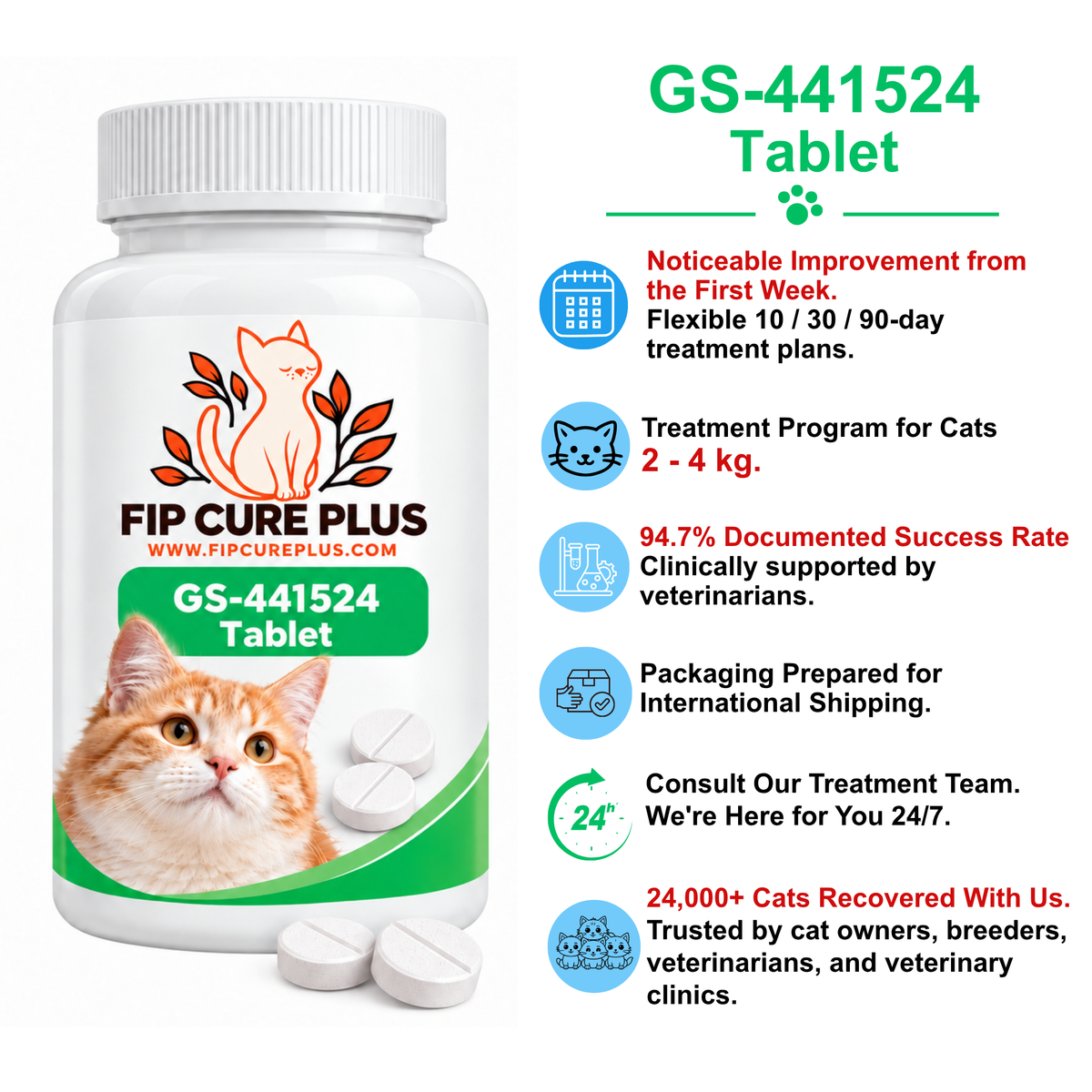 FIP Cure Plus GS-441524 tablet treatment guide for cats under 2 kg, including treatment plans, veterinary support, international shipping, and FIP treatment information.