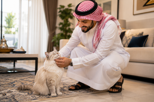 كبسولات GS-441524 مقابل الحقن: أيهما أفضل لعلاج FIP عند قطتك؟