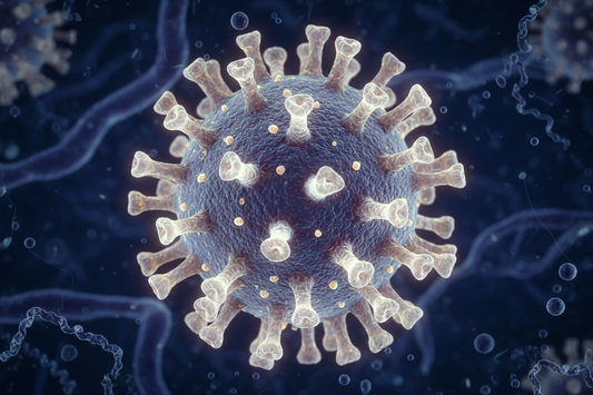 Causes of FIP: The Feline Coronavirus Connection Explained