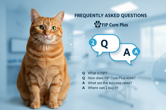 FAQ about FIP Cure Plus GS-441524 treatment for cats — GCC