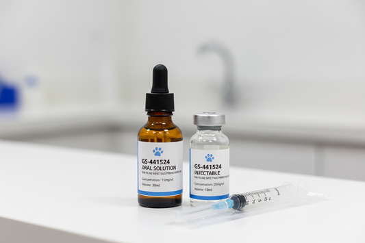 GS-441524 Oral vs Injectable: Which Form Works Best for Your Cat