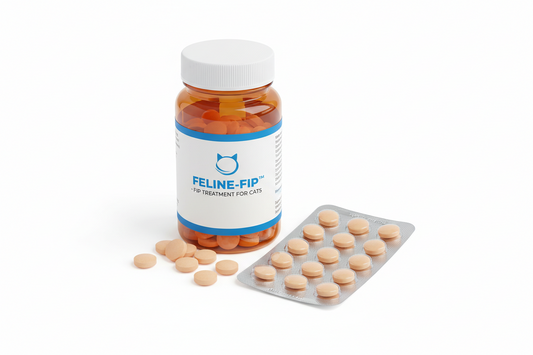 Top FIP Treatment Tablets for Cats: What You Need to Know