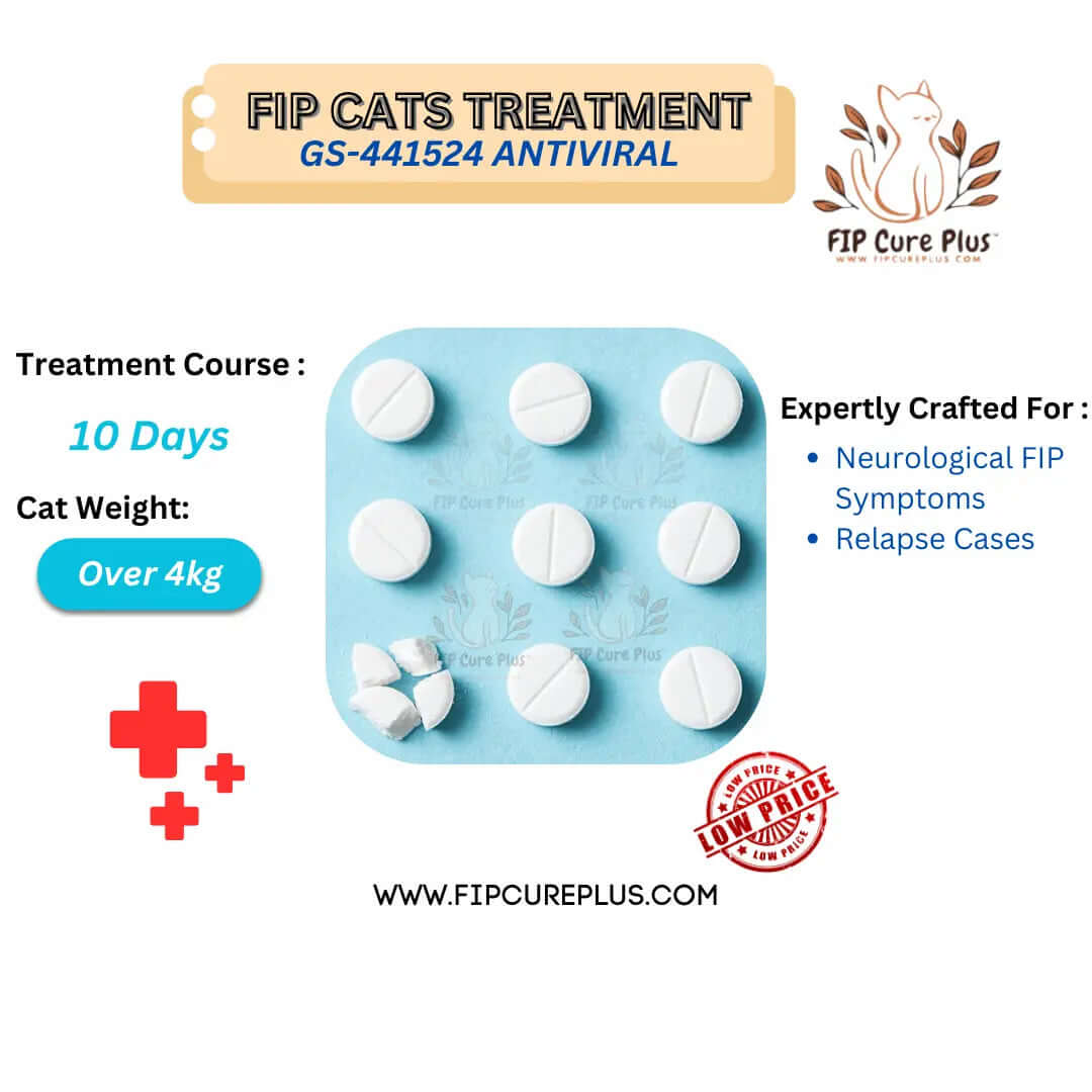 FIP Cure Plus Oral Capsules | GS-441524 Treatment to Cure FIP in Cats Over 4kg 10days