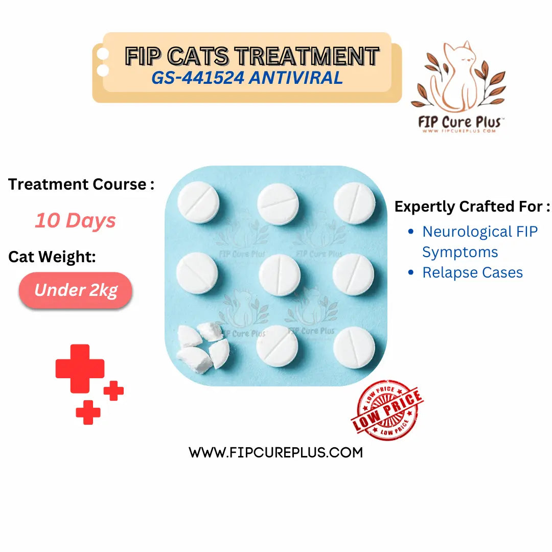 FIP Cure Plus Oral Capsules | GS-441524 Treatment to Cure FIP in Cats Under 2kg