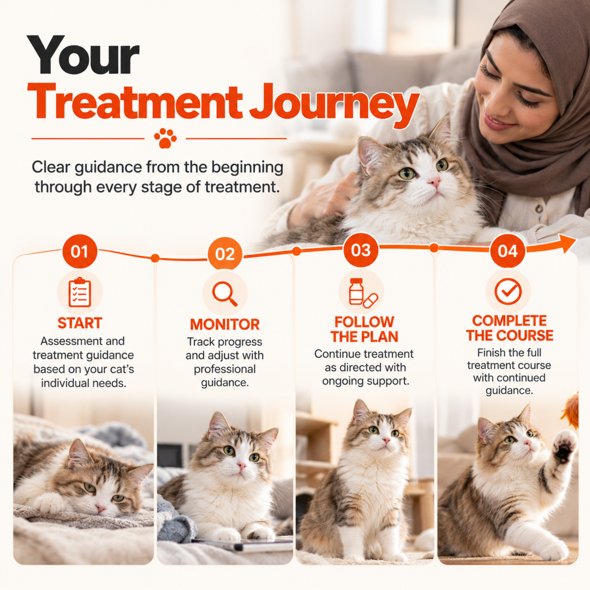 FIP Cure Plus treatment journey showing four stages: start, monitor progress, follow the treatment plan, and complete the full treatment course.