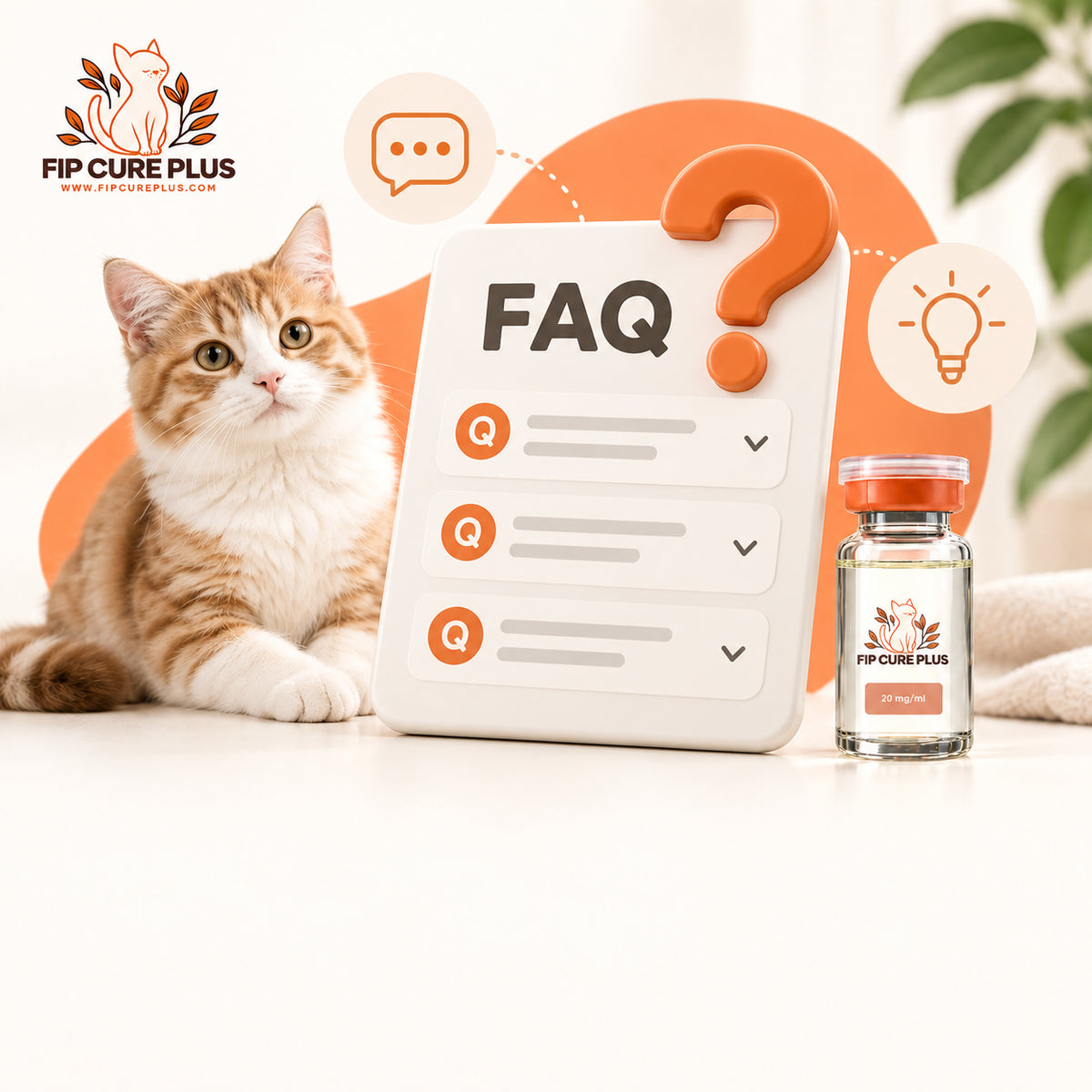 Cat beside an FIP Cure Plus GS-441524 vial and FAQ graphic for FIP treatment questions.