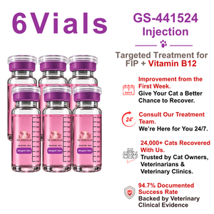 FIP Cure Plus six-vial GS-441524 injection pack, 20mg/ml and 10ml per vial, with Vitamin B12 for FIP treatment in cats.