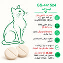 دليل عربي لأقراص GS-441524 من FIP Cure Plus للقطط بوزن 2–4 كغ، مع رسم قطة أخضر وحبتين كريميتين.