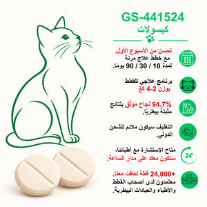 دليل عربي لأقراص GS-441524 من FIP Cure Plus للقطط بوزن 2–4 كغ، مع رسم قطة أخضر وحبتين كريميتين.