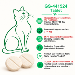 English guide to FIP Cure Plus GS-441524 tablets for cats weighing 2–4 kg, with a green cat illustration and two cream tablets.