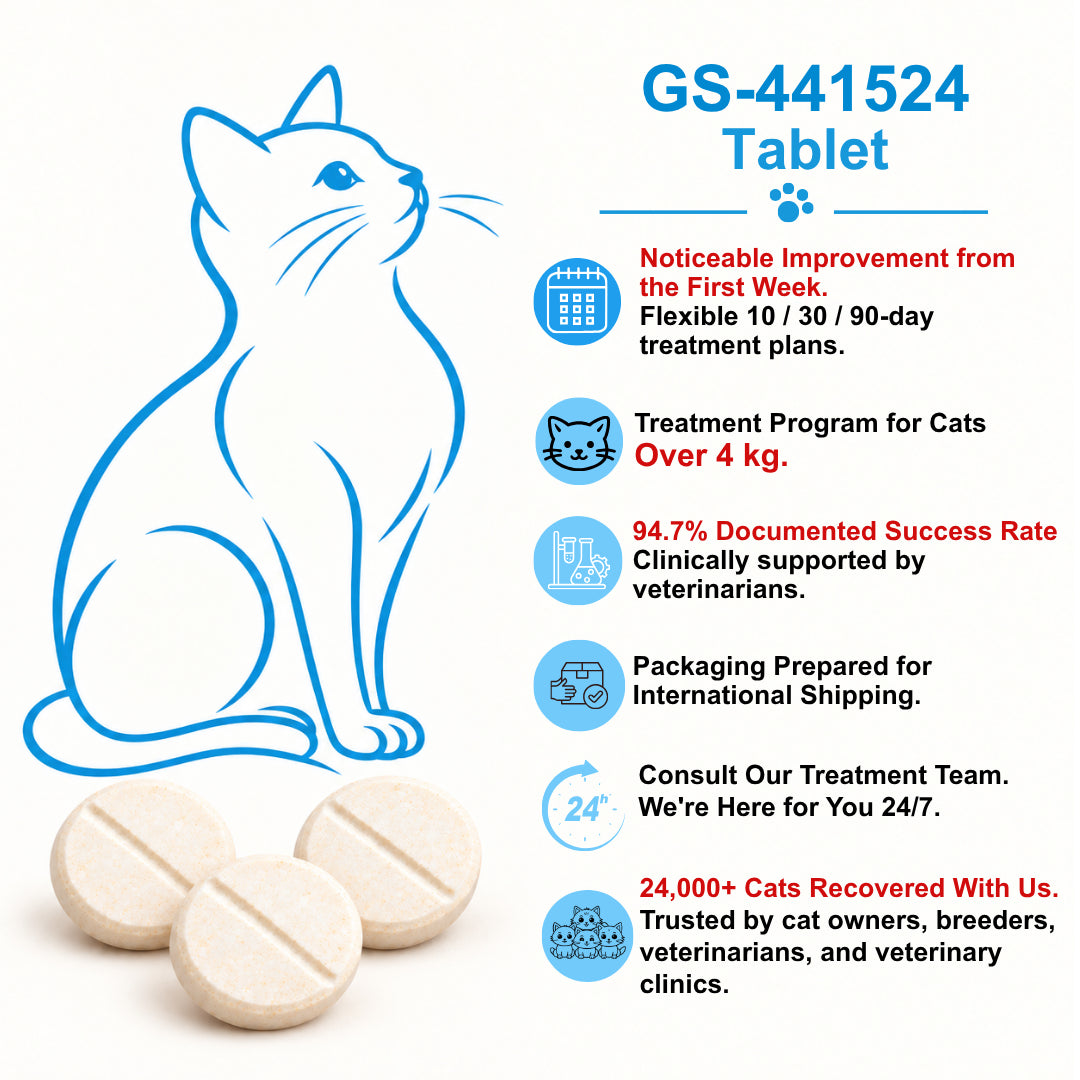English guide to FIP Cure Plus GS-441524 tablets for cats over 4 kg, with a blue cat illustration and three cream tablets.