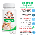 FIP Cure Plus GS-441524 tablet treatment guide for cats under 2 kg, showing treatment plans, veterinary support, international shipping, and FIP treatment information.
