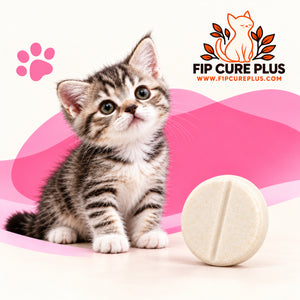 FIP Cure Plus GS-441524 tablets for cats under 2 kg, with a tabby kitten, one cream tablet and a pink background.