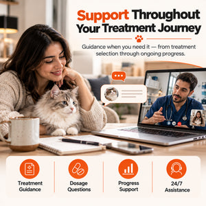 FIP Cure Plus treatment support showing a cat owner receiving remote veterinary guidance, dosage help, progress support, and 24/7 assistance.