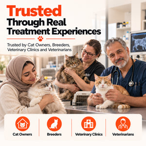 Cat owners, breeders, veterinarians, and veterinary clinics representing real FIP treatment experiences and trust in FIP Cure Plus.