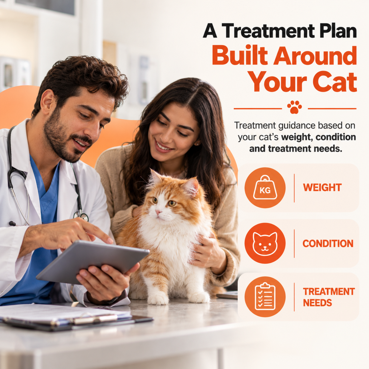 Veterinary consultation showing a personalized FIP treatment plan based on the cat's weight, condition, and individual treatment needs.