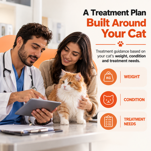 Veterinary consultation showing a personalized FIP treatment plan based on the cat's weight, condition, and individual treatment needs.