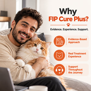 Cat owner holding his cat with FIP Cure Plus information highlighting evidence-based treatment, real treatment experience, and support throughout the FIP treatment journey.